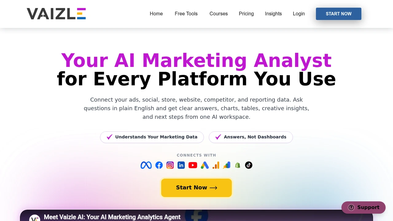 Screenshot of Vaizle website
