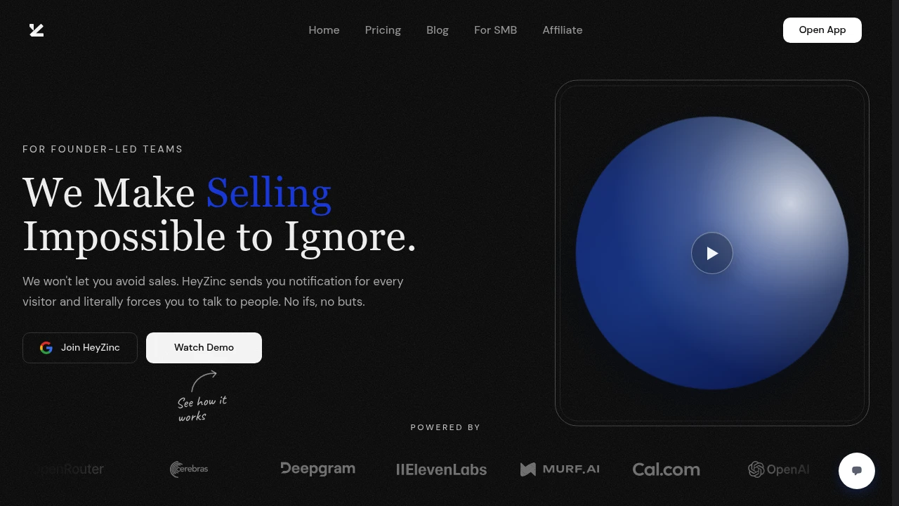 Screenshot of HeyZinc website