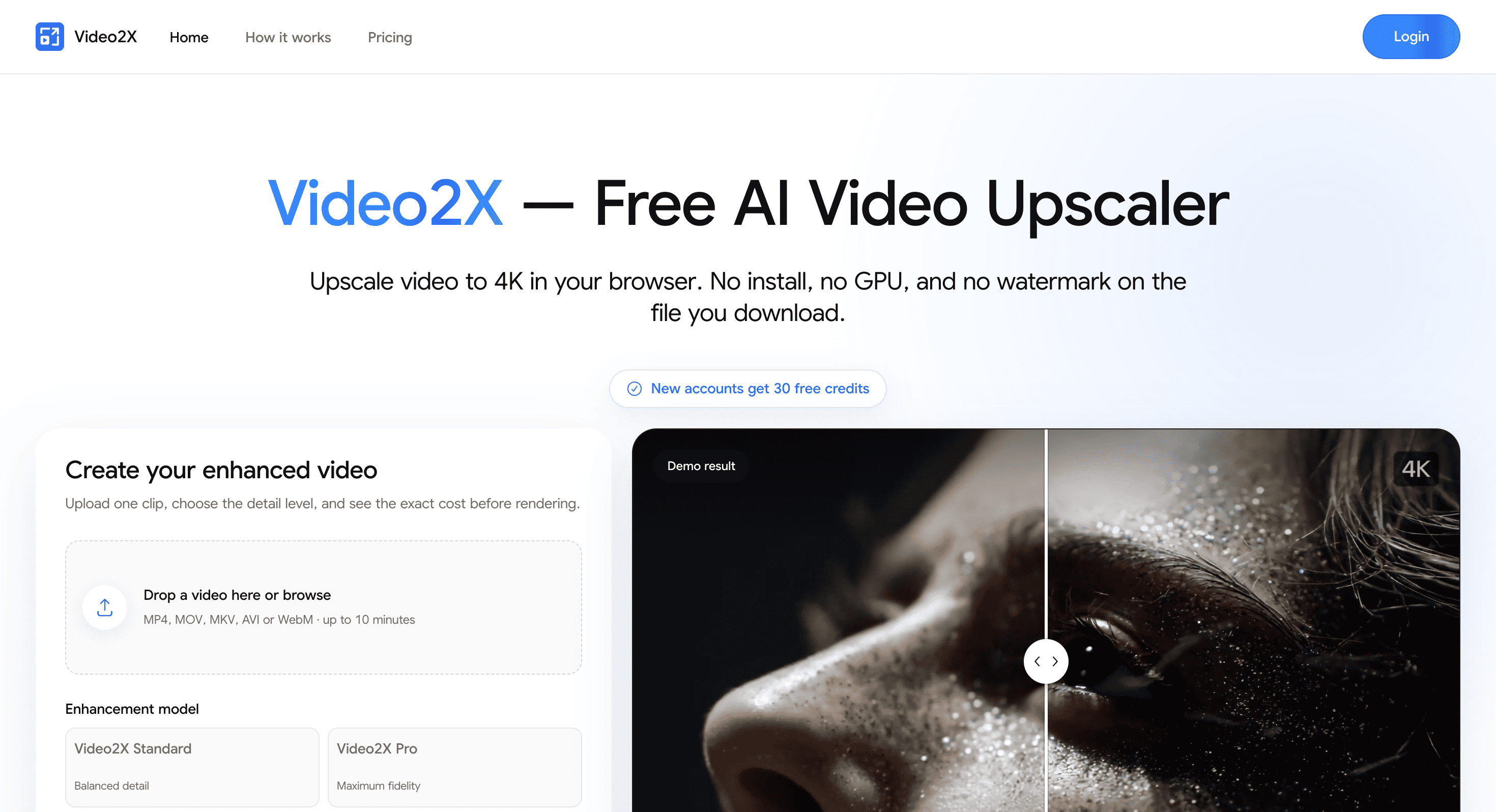 Screenshot of Video2x website