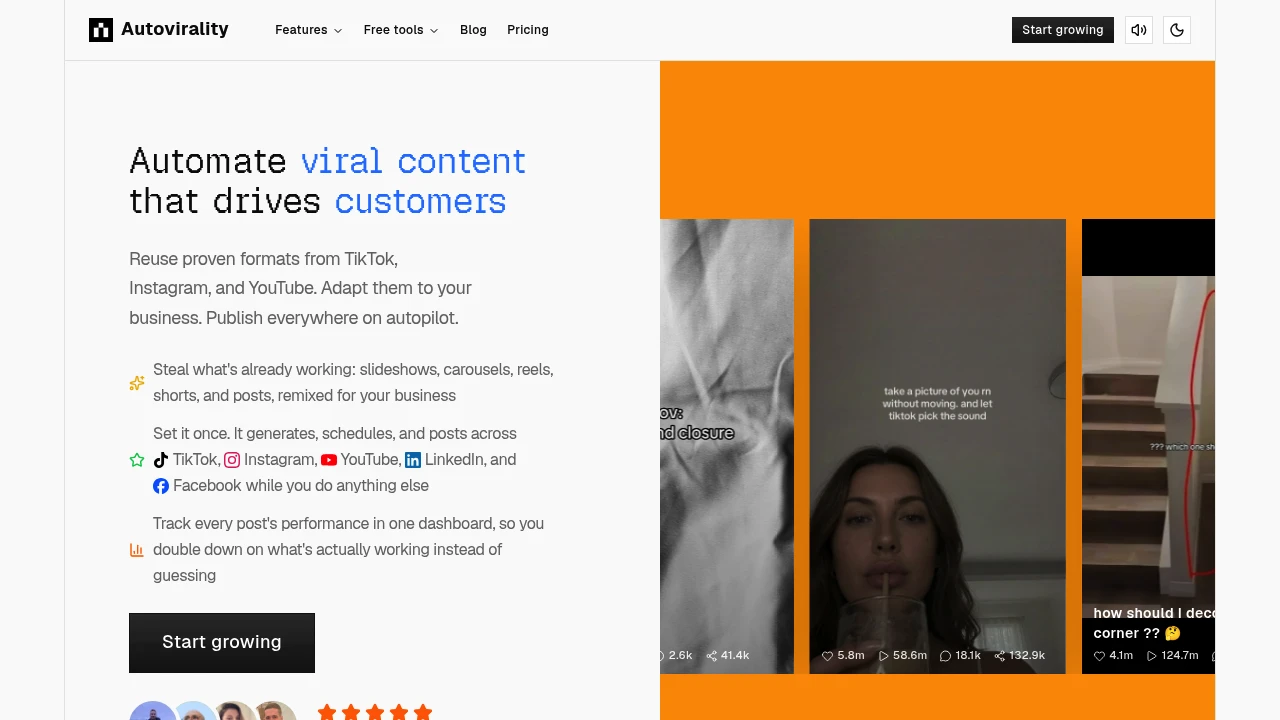 Screenshot of Autovirality website