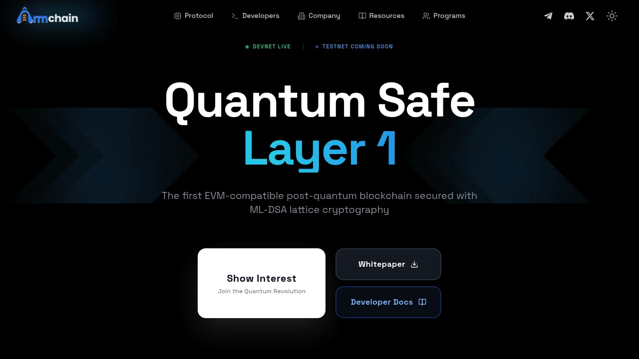 Screenshot of ARMchain website