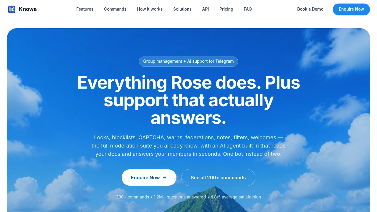 Screenshot of Knowa AI website