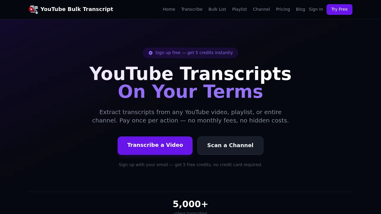 Screenshot of YtBulkTranscript App website