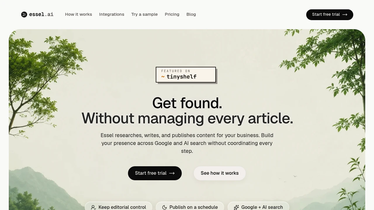 Screenshot of Essel AI website